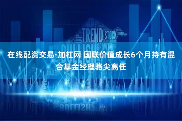 在线配资交易·加杠网 国联价值成长6个月持有混合基金经理骆尖离任