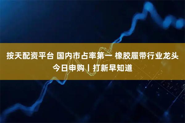 按天配资平台 国内市占率第一 橡胶履带行业龙头今日申购丨打新早知道